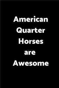 American Quarter Horses Are Awesome