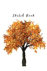 Sketch Book