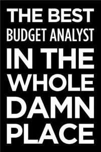 The Best Budget Analyst in the Whole Damn Place