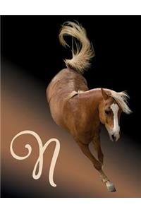 Horse Initial 'n' Monogram Notebook