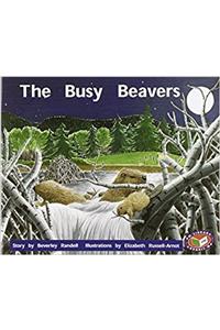 The Busy Beavers PM Level 16 Set C Orange