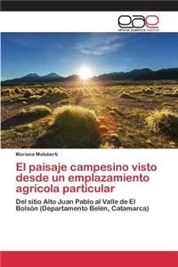 El paisaje campesino visto desde un emplazamiento agrícola particular