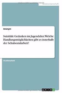 Suizidale Gedanken im Jugendalter. Welche Handlungsmöglichkeiten gibt es innerhalb der Schulsozialarbeit?