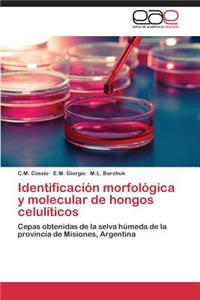Identificacion Morfologica y Molecular de Hongos Celuliticos