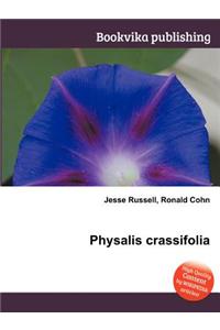 Physalis Crassifolia