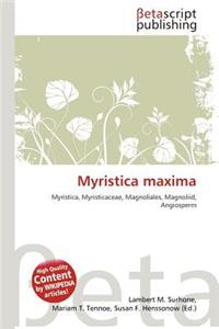 Myristica Maxima
