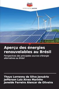 Aperçu des énergies renouvelables au Brésil