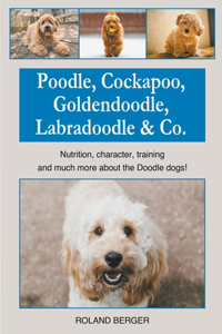 Poodle, Cockapoo, Goldendoodle, Labradoodle & Co.