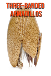 Three-Banded Armadillos