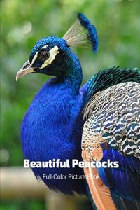 Beautiful Peacocks Full-Color Picture Book