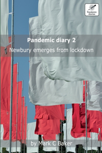Pandemic diary 2