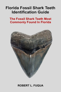 Florida Fossil Shark Teeth Identification Guide