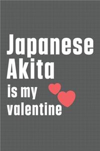 Japanese Akita is my valentine