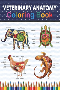 Veterinary Anatomy Coloring Book