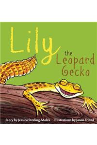 Lily the Leopard Gecko