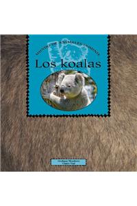 Koalas, Los (Spanish)