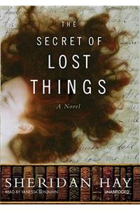 The Secret of Lost Things