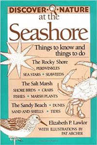 Discover Nature at the Seashore