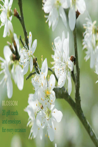 Blossom Notecards