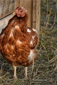 Poulet Carnet de notes