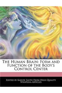 The Human Brain