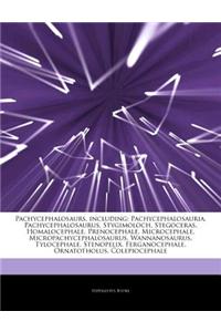 Articles on Pachycephalosaurs, Including: Pachycephalosauria, Pachycephalosaurus, Stygimoloch, Stegoceras, Homalocephale, Prenocephale, Microcephale,