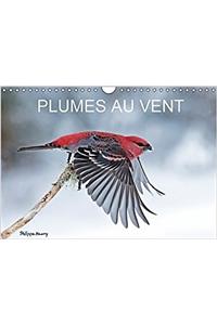 Plumes au Vent 2017