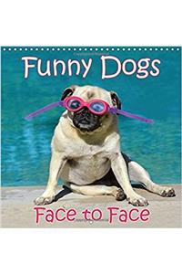Funny Dogs Face to Face 2017