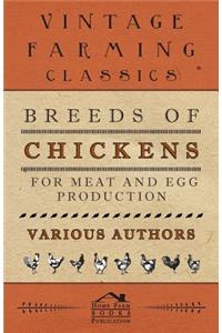 Breeds of Chickens for Meat and Egg Production