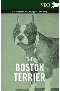 Boston Terrier - A Complete Anthology of the Dog -