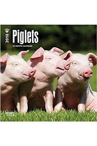 Piglets 2018 Calendar