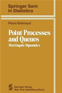 Point Processes and Queues