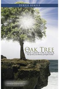 The Oak Tree that Grew on a Rock