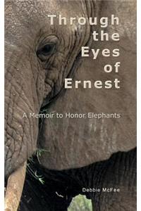Through the Eyes of Ernest