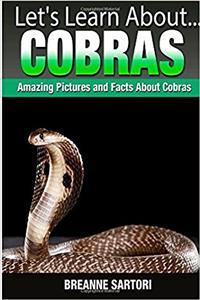 Cobras (Lets Learn About)