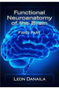 Functional Neuroanatomy of the Brain