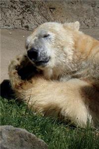 Sleepy Polar Bear Journal: 150 Page Lined Notebook/Diary