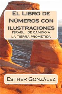 El Libro de Numeros Con Ilustraciones