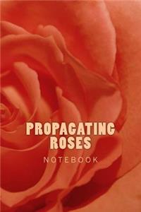 Propagating Roses