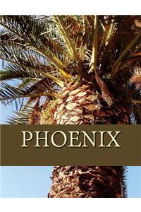 Phoenix