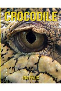 Crocodile