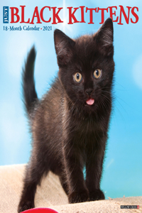 Just Black Kittens 2021 Wall Calendar