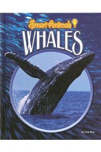 Whales