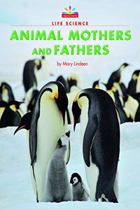Animal Mothers and Fathers
