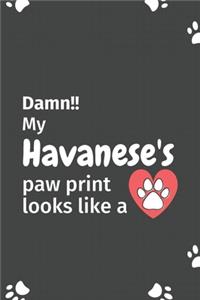 Damn!! my Havanese's paw print looks like a