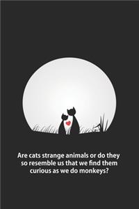 Are cats strange animals or do they so resemble us that we find them curious as we do monkeys?
