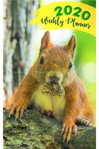 Cute squirrel weekly planner 2020