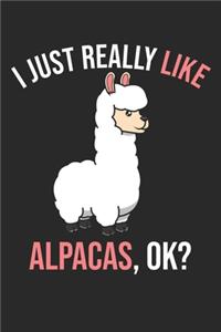 I Just Really Like Alpacas, OK?