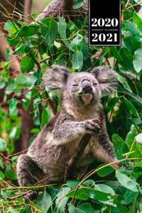 Koala Bear Rainforest Week Planner Weekly Organizer Calendar 2020 / 2021 - Good Morning
