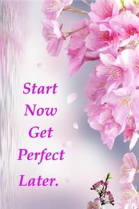 Start Now Get Perfect Later.